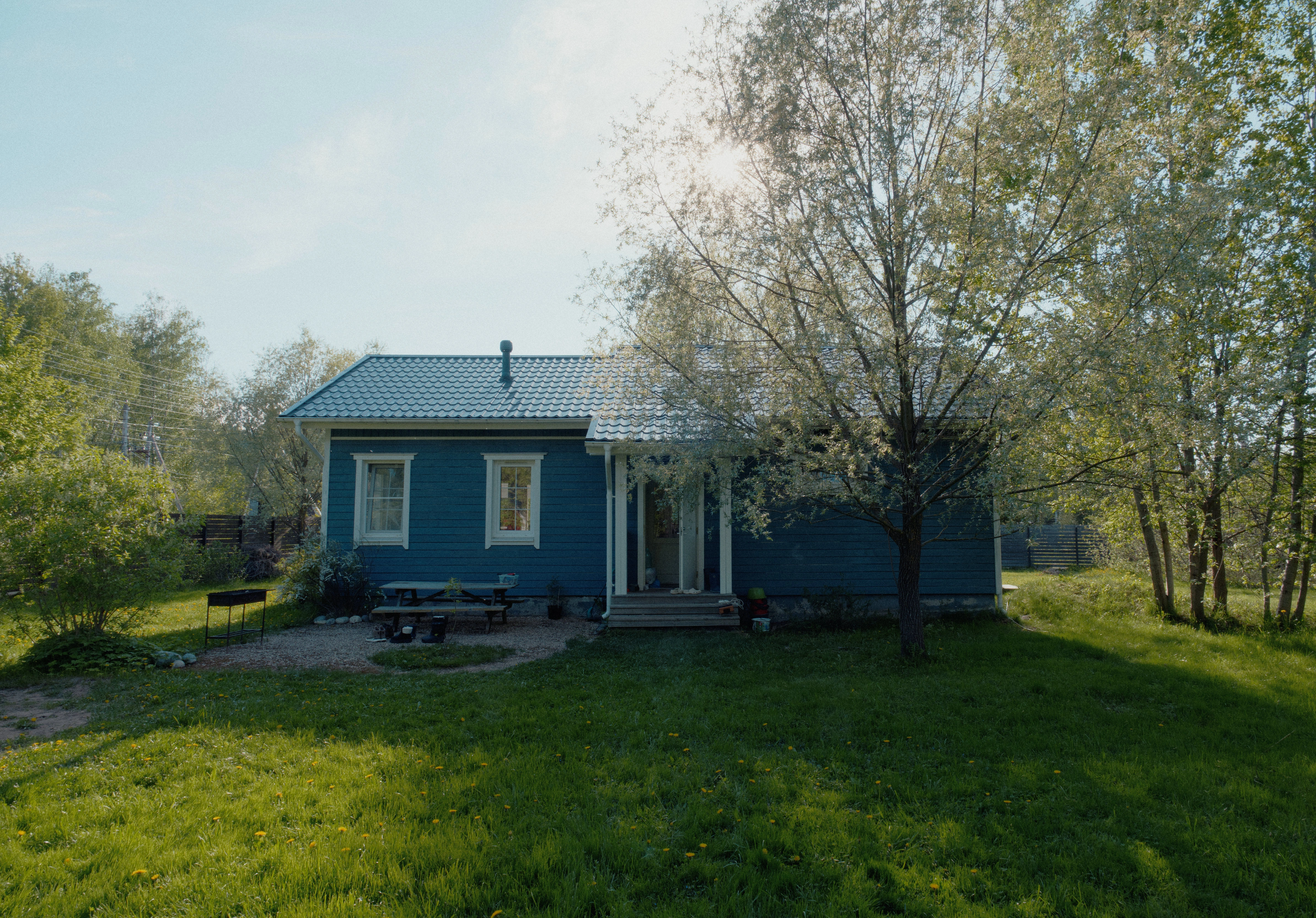Участок и берёзовая роща